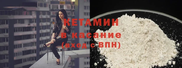 сатива Пересвет