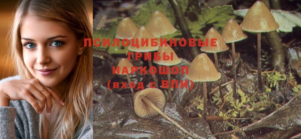 стаф Абаза