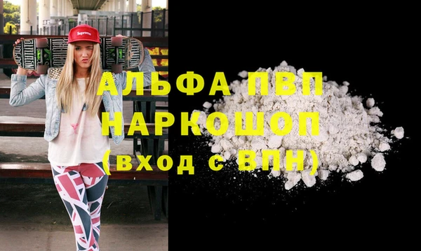 стаф Абаза