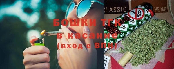 сатива Пересвет