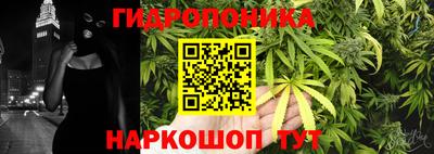 хмурый Кимры