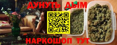 jwh Кингисепп
