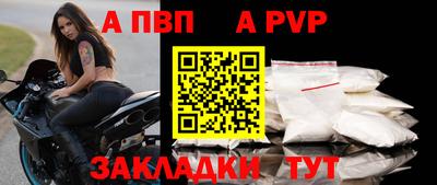 jwh Кингисепп