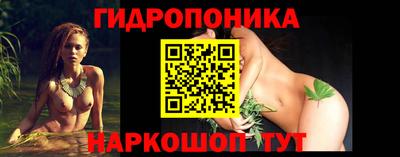 jwh Кингисепп