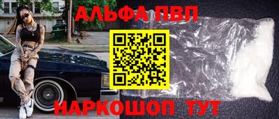 jwh Кингисепп