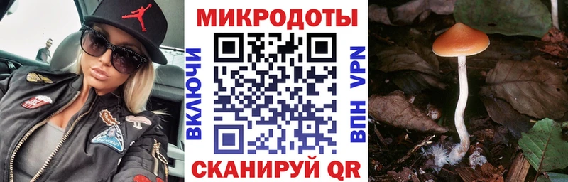 Галлюциногенные грибы Magic Shrooms  цены   Магадан 