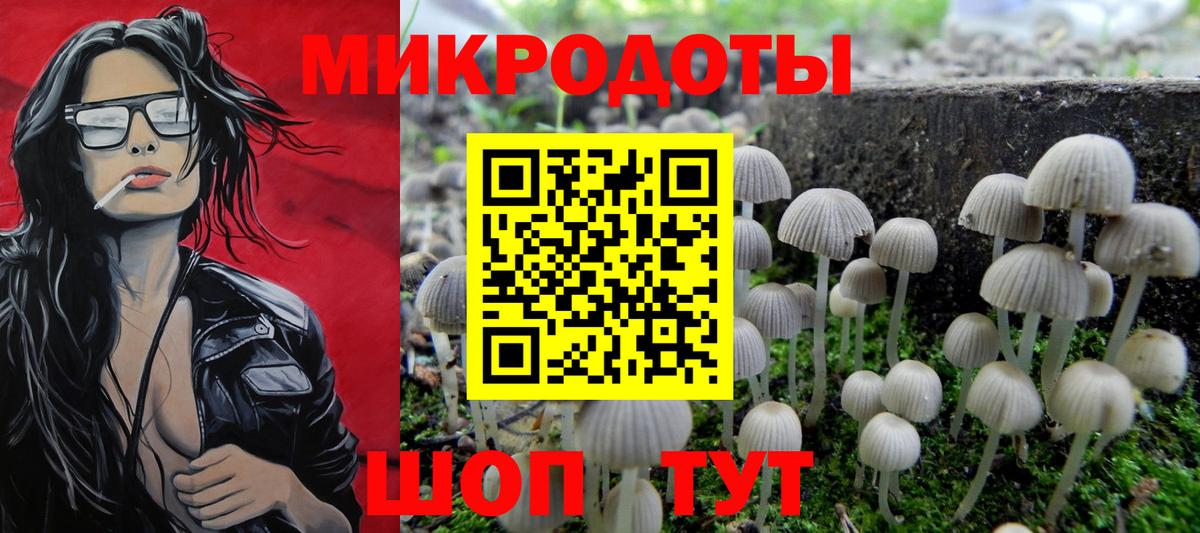 Магадан  Псилоцибиновые грибы Psilocybe  закладка  Вход с VPN 